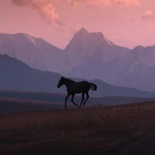 دانلود آهنگ من در پی اش کو به کو افتادم دل به عشقش دادم دانلود آهنگ من در پی اش کو به کو افتادم دل به عشقش دادم